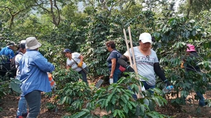 Pese a fricción con fiscalía, colectivo rescata 11 cuerpos de fosa en Ixtaczoquitlán