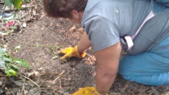 Veracruz: Van 32 cuerpos exhumados de “Campo Grande”... y aún faltan más