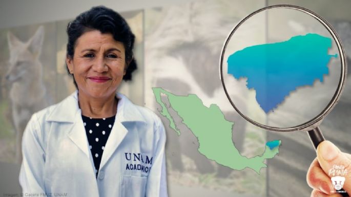 Mexicana gana premio por investigación sobre virus en fauna silvestre