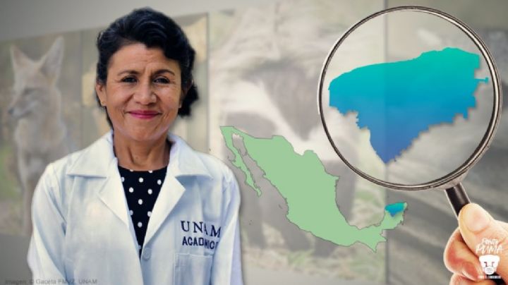 Mexicana gana premio por investigación sobre virus en fauna silvestre