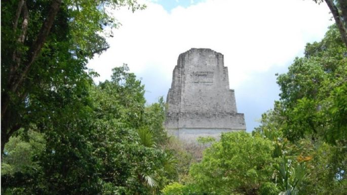 Los mayas de Tikal protegieron espacios verdes en su metrópoli