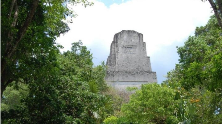 Los mayas de Tikal protegieron espacios verdes en su metrópoli