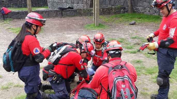 Los topos mexicanos ya están en Miami