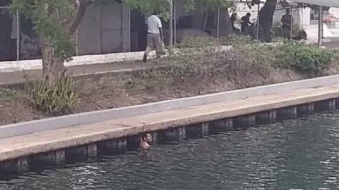 Dos hombres se meten a nadar a zona de cocodrilos en Tampico; son detenidos
