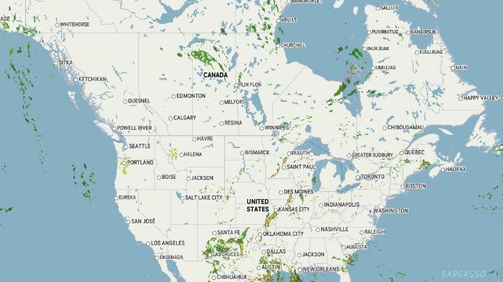 Ola de calor "histórica y peligrosa", azota ciudades de Canadá y EU