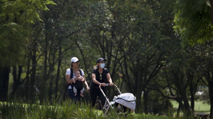 Anuncian apertura de la Cuarta Sección del Bosque de Chapultepec