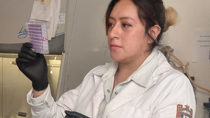 Científica del IPN explica eficacia de vacunas covid-19 aplicadas en México