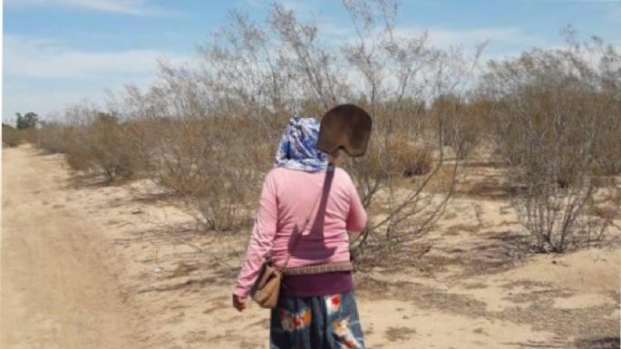 CNDH pide protección para el colectivo Madres Buscadoras de Sonora