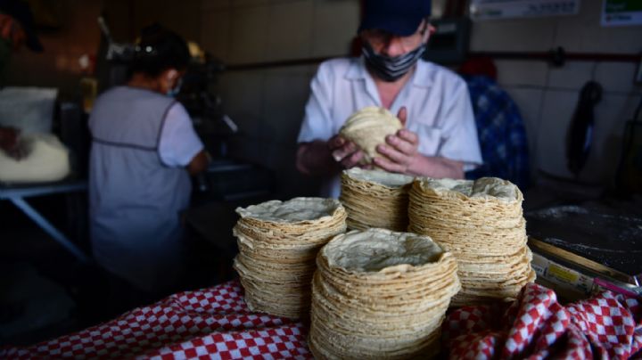 AMLO analiza poner tope al precio del gas e importar maíz para estabilizar el de la tortilla