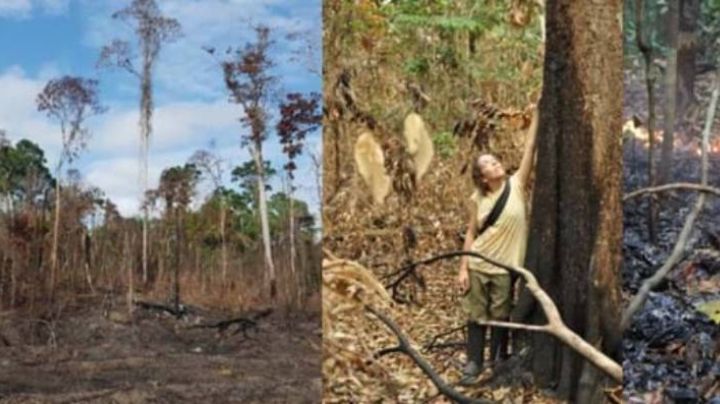 El Niño transformó un sector de la Amazonia en gran emisor de carbono