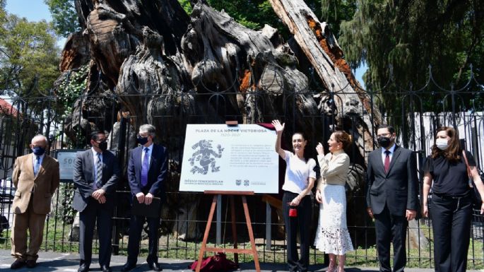 Rebautizan el "Árbol de la Noche Triste"; ahora es el "Árbol de la Noche Victoriosa"