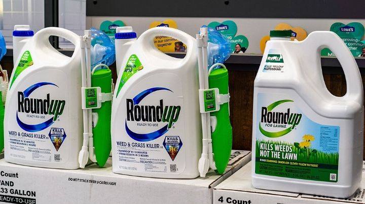 Bayer pierde demanda en un juicio por producto de Monsanto que causó cáncer a una pareja