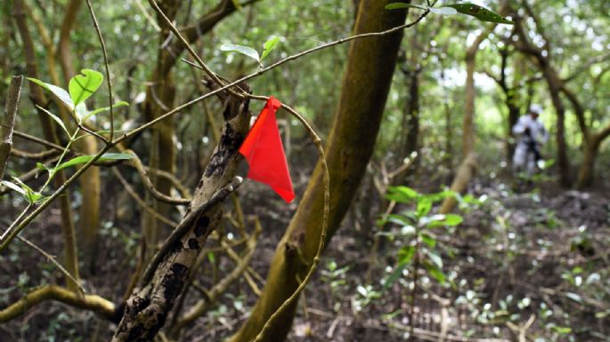 Exhuman ocho cuerpos de fosas clandestinas localizadas en Villa de Álvarez, Colima