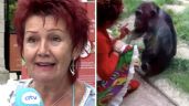 Zoológico prohíbe la entrada a una mujer que asegura tener una relación afectiva con un chimpancé