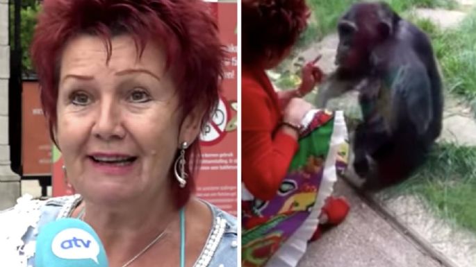 Zoológico prohíbe la entrada a una mujer que asegura tener una relación afectiva con un chimpancé