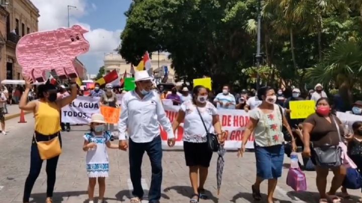 Juez federal ratifica suspensión de la mega granja porcina en Yucatán