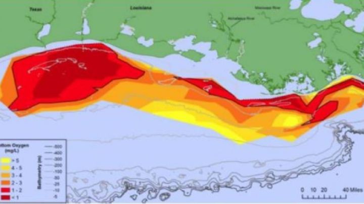 La zona muerta del Golfo de México se mantiene sobre más de 10 mil km2