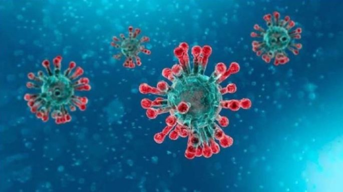 La OMS analiza una nueva variante del coronavirus detectada por primera vez en Colombia