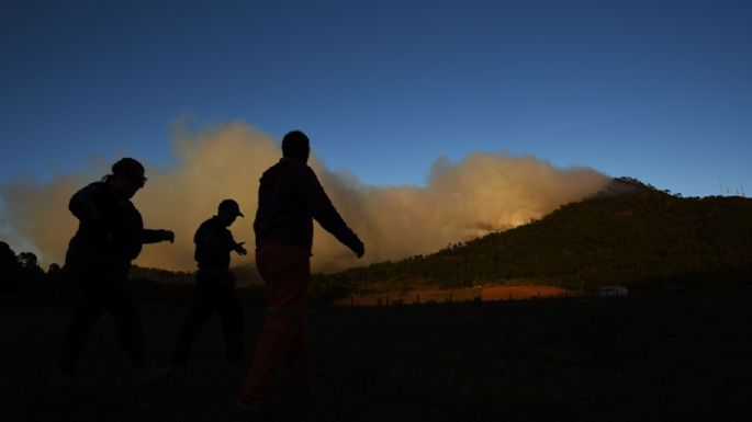 América Latina, la región más peligrosa para los defensores ambientales