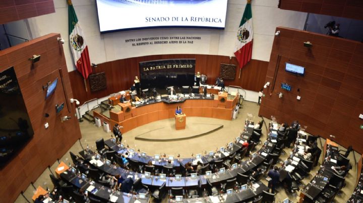 Senado analizará elevar de 6 a 12 los días de vacaciones desde el primer año de trabajo