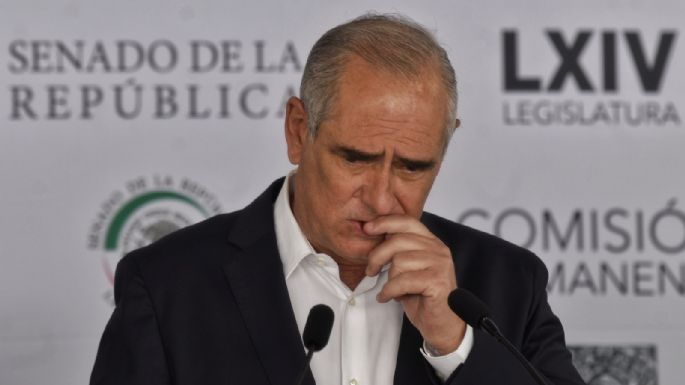 PAN reprocha aprobación de la "Ley Nahle" en Veracruz, pide "levantar la voz"