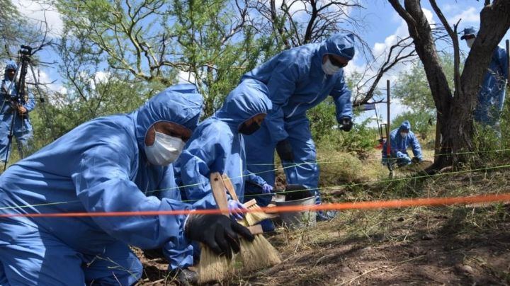 Fiscalía identifica restos de 5 de los 10 yaquis desaparecidos en Loma Bácum, Sonora