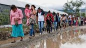 Desplazados en México, despojados de medios de subsistencia y sin opciones de reinserción laboral