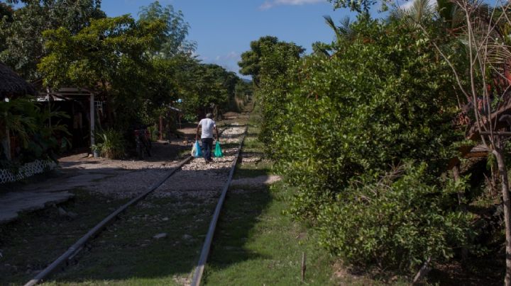 Inician expropiación de 198 predios de Cancún donde correrá el Tren Maya