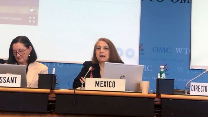 Buenrostro pide renuncia a Luz María de la Mora como subsecretaria de Comercio Exterior
