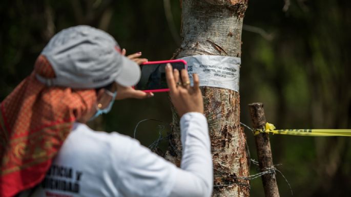 Encinas: Hay dos mil 386 fosas clandestinas y cuatro mil 180 cuerpos exhumados en el país