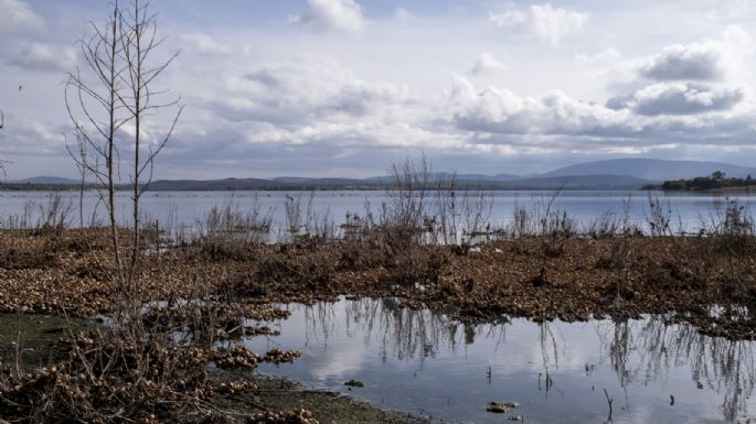 La Tierra está "inequívocamente" en medio de una emergencia climática