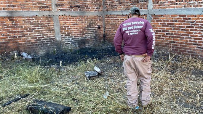 Perro con una pierna humana en el hocico da pista para localizar mega fosa en Irapuato