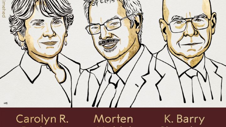 Carolyn R. Bertozzi, Morten Meldal y K. Barry Sharpless ganan el Premio Nobel de Química