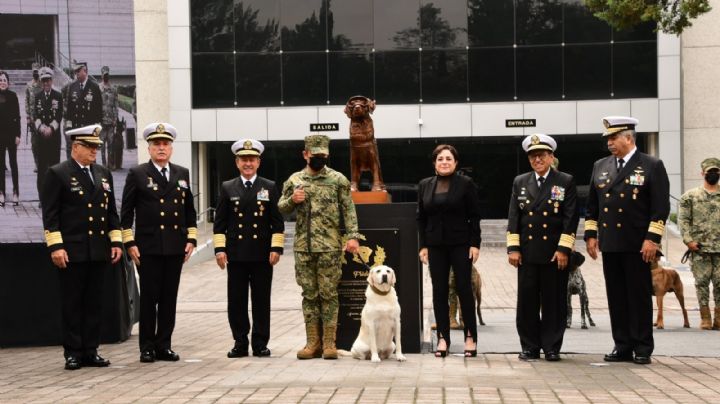 Develan la escultura de Frida, la perra rescatista de la Marina