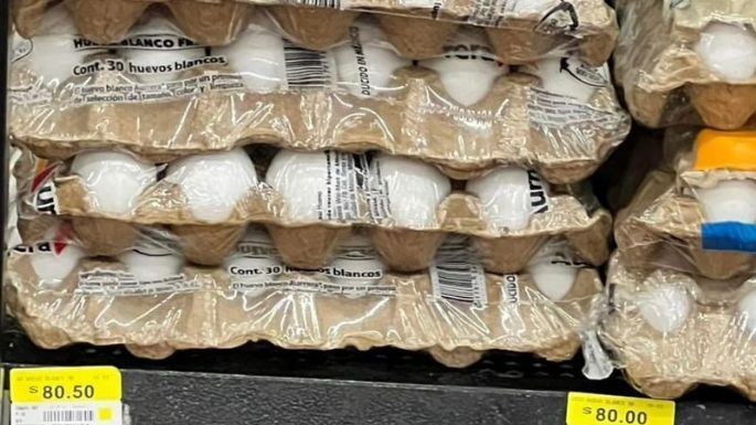 Una rata pasea sobre cartones de huevo en un supermercado de Yucatán y se vuelve viral