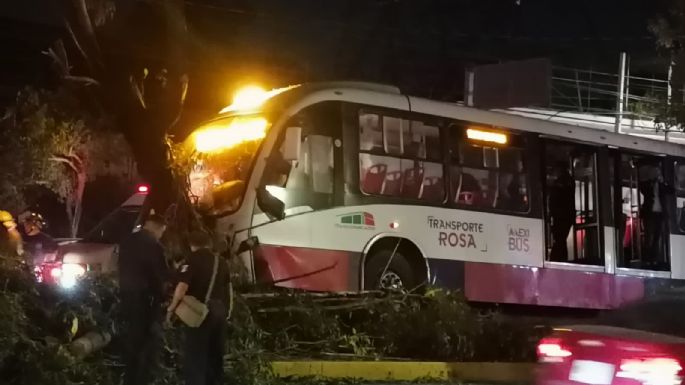 Mexibús choca contra un árbol en la vía José López Portillo; hay 10 heridos