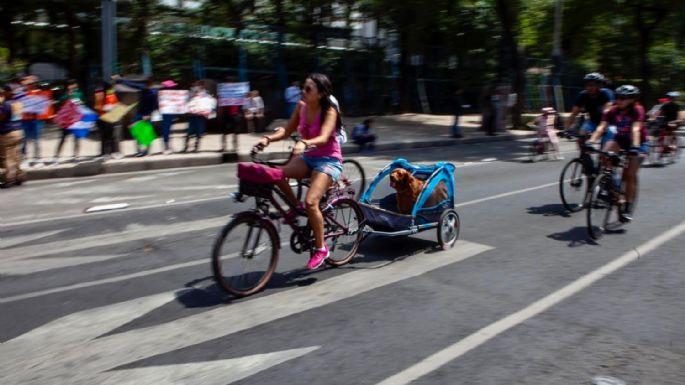 Por marcha en defensa del INE, así será el Paseo ciclista del domingo en la CDMX