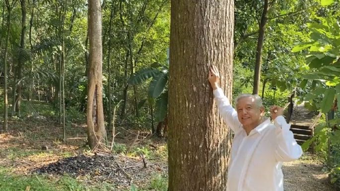 "Escuchen las guacamayas": con este video AMLO agradeció las felicitaciones por su cumpleaños