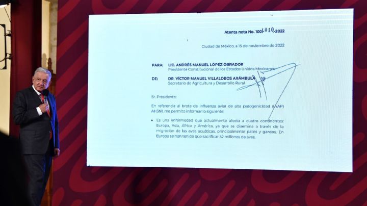 Brote de gripe aviar no pone en riesgo a las personas ni la producción nacional: AMLO