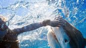 ¡Tiburón a la vista! Una bióloga así salvó su vida de un ataque (video)