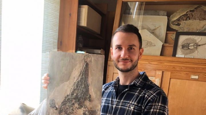 Paleontólogos encuentran un fósil histórico "perdido" en la Segunda Guerra Mundial