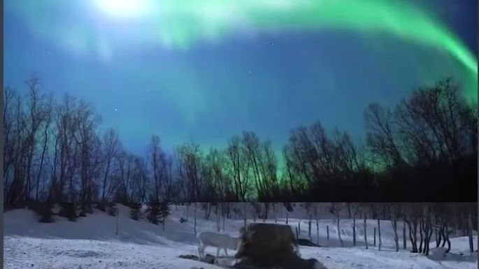 La NASA lanza dos cohetes a las entrañas de una aurora boreal