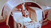 Se cumplen 65 años del primer ser vivo espacial: la perra Laika