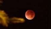 Esto se sabe del próximo eclipse total de Luna; el próximo ocurrirá hasta 2025