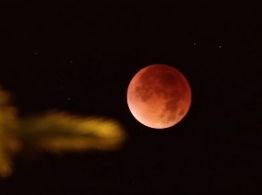Eclipse total de Luna 2026: consejos de la NASA para observar el fenómeno