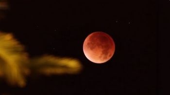 Eclipse total de Luna 2026: consejos de la NASA para observar el fenómeno