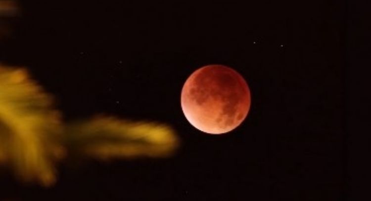 Eclipse total de Luna 2026: consejos de la NASA para observar el fenómeno