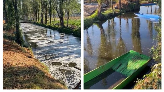 Se viraliza video de los canales de Tláhuac y Xochimilco "burbujeando" durante el sismo