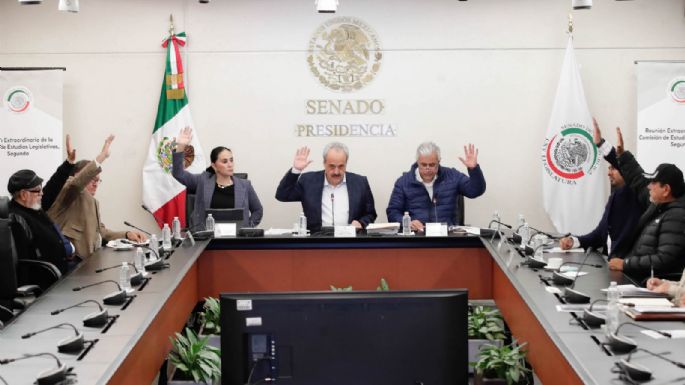 Comisiones del Senado aprueban el Plan B con modificaciones; pasa al pleno