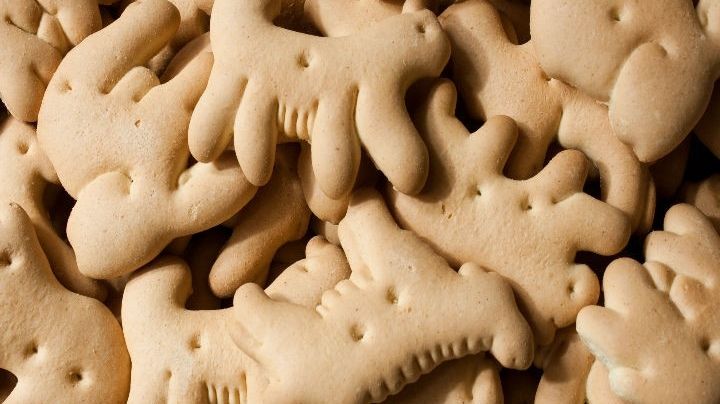 Sabrosas… pero peligrosas. Estos son los riesgos por comer galletas de animalitos